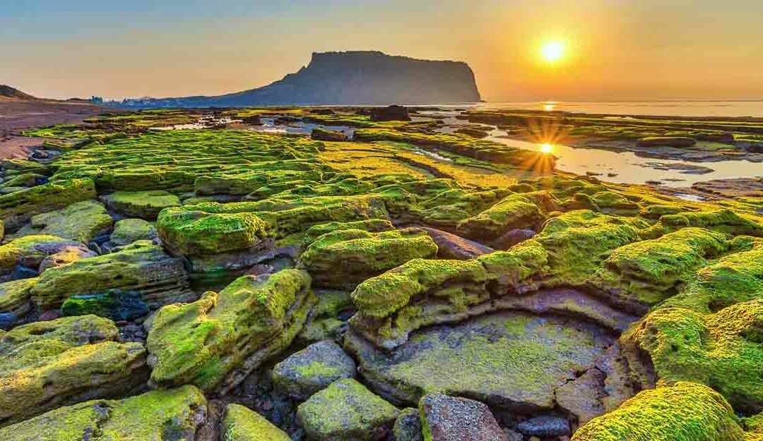 10 Best Countries to Live in Asia