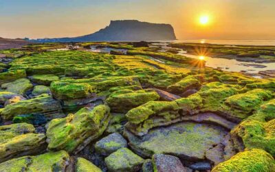 10 Best Countries to Live in Asia