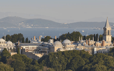 5 International High Yield Savings Account Options