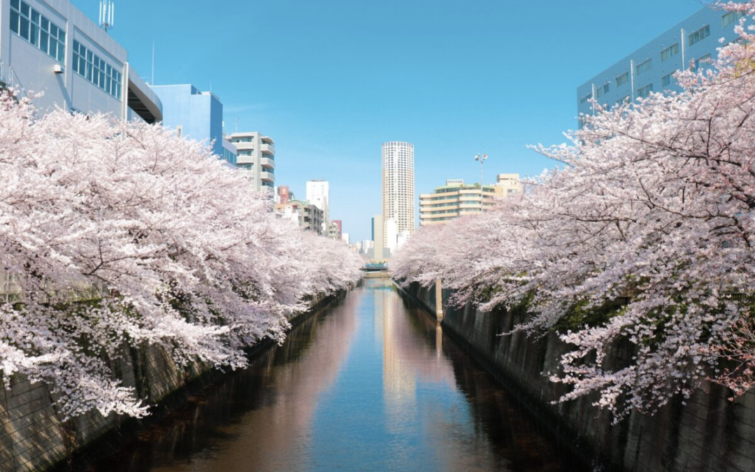 Japan Property Prices: The Cost of Housing