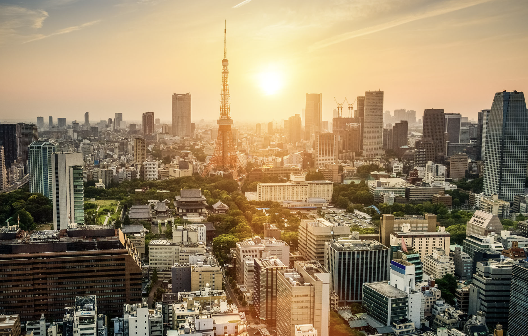 Real Estate Agents Japan 1