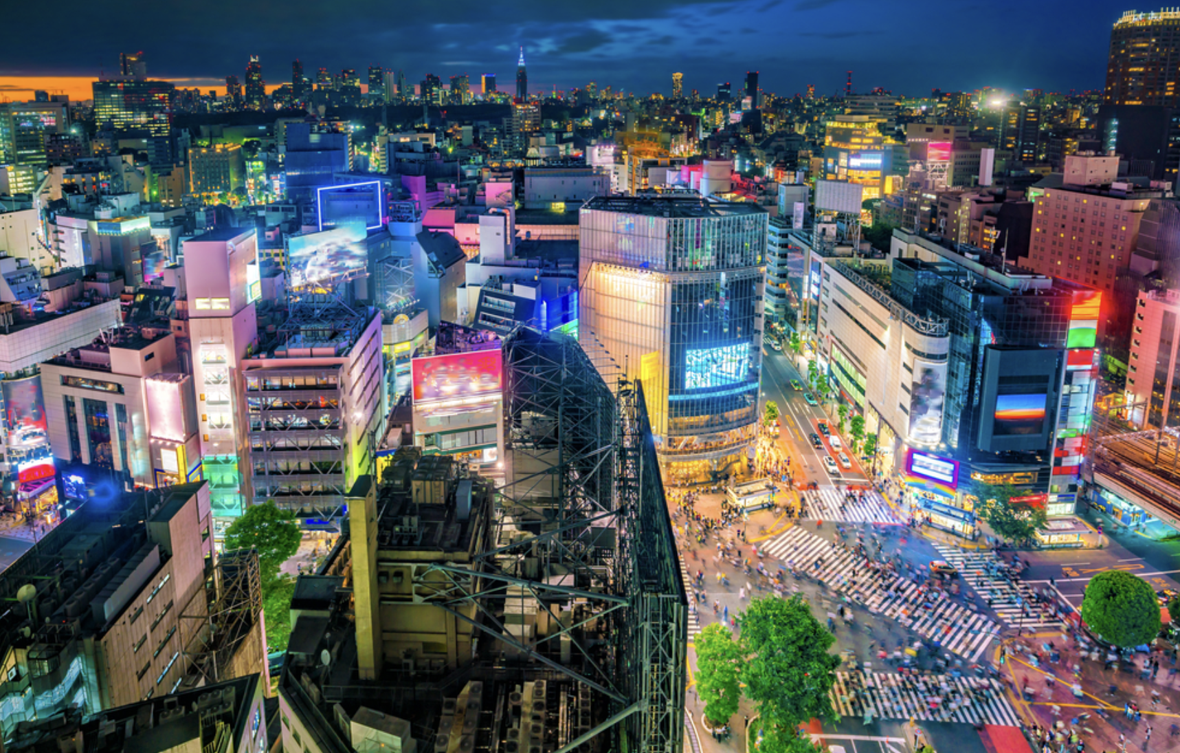 Real Estate Agents Japan 2