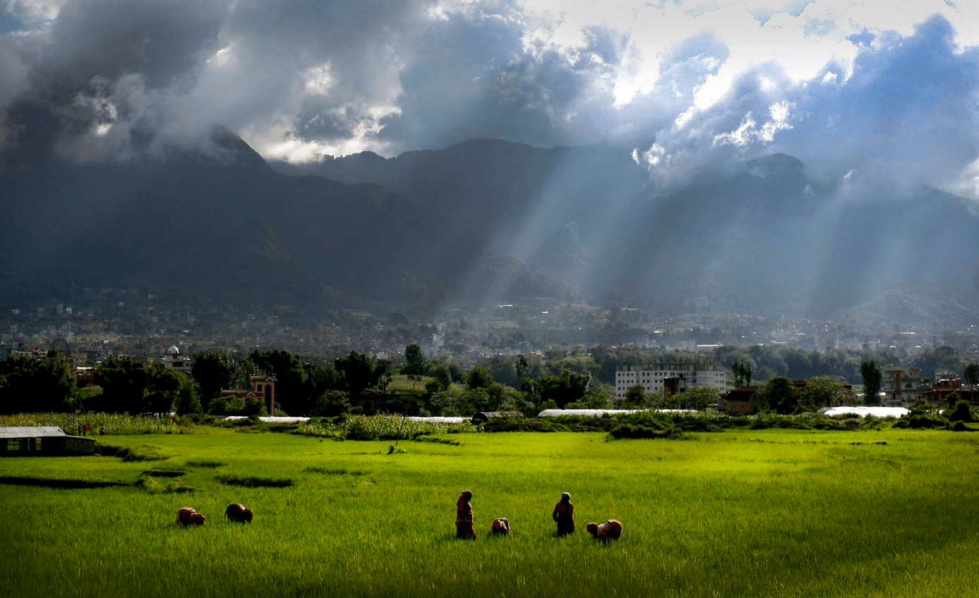 Nepal Agriculture