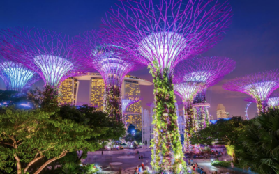 Private Property in Singapore: Land, Shophouses, and GCBs
