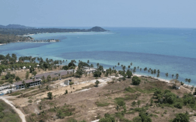 Land Investment: A Timeless Asset Globally