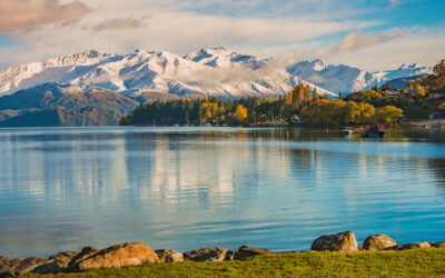 How to Get New Zealand Citizenship: The Complete Guide