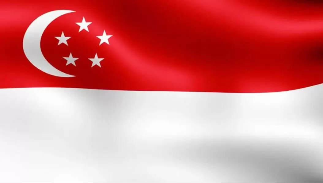 Singapore Flag